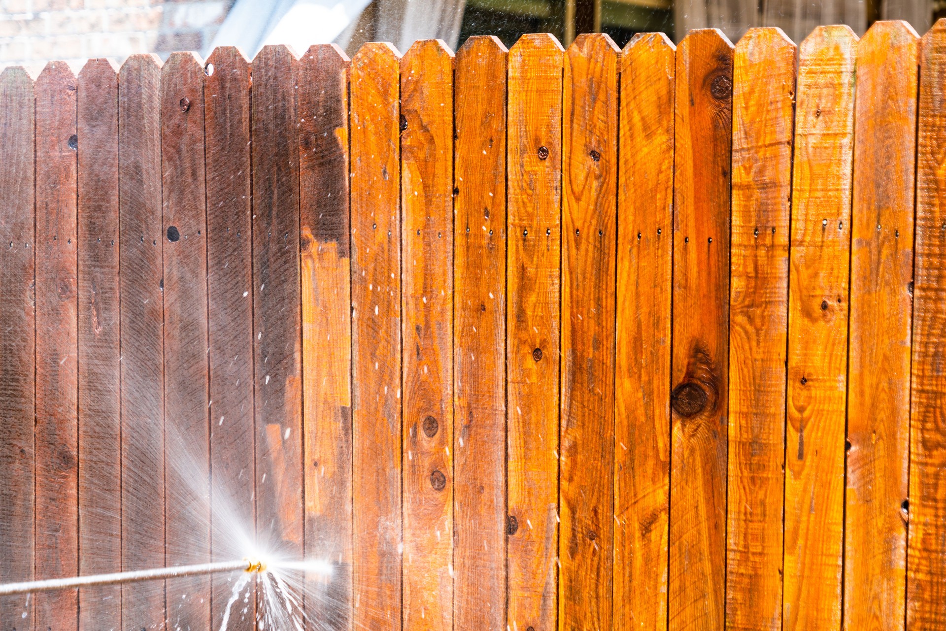 Fence Cleaning